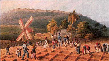 La agricultura en América Colonial - Historia Universal