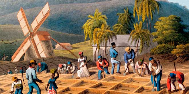 La agricultura en América Colonial - Historia Universal