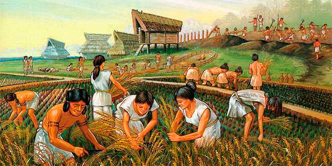 meteorito esclavo Marca comercial Inicios de la agricultura y la ganadería - Historia Universal