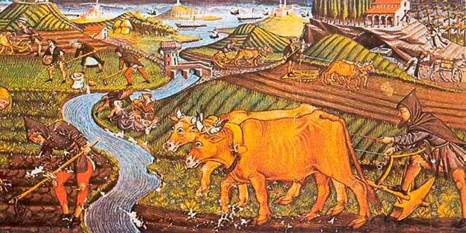 Peladura Tableta Suposiciones, suposiciones. Adivinar La Agricultura en la Edad Media - Historia Universal