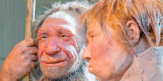 rostro neandertal